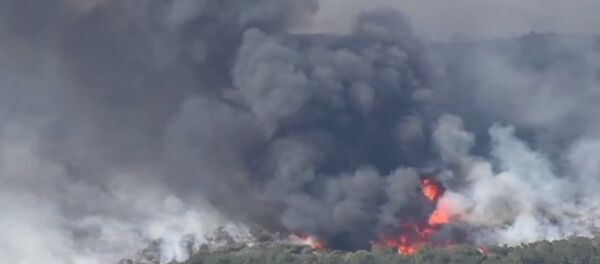 Съемка с воздуха природного пожара в Калифорнии - Sputnik Абхазия