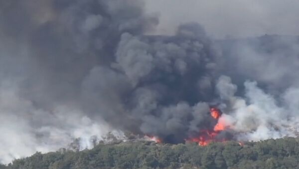 Съемка с воздуха природного пожара в Калифорнии - Sputnik Абхазия