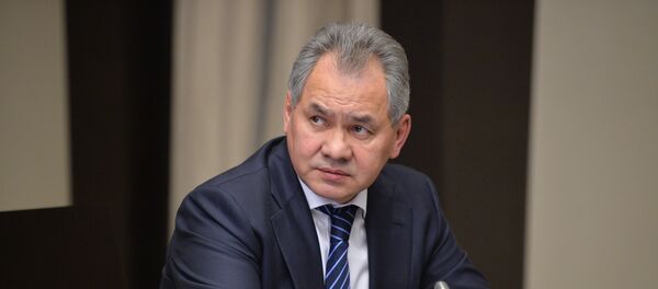 Сергей Шойгу Сергей Шойгу - Sputnik Абхазия