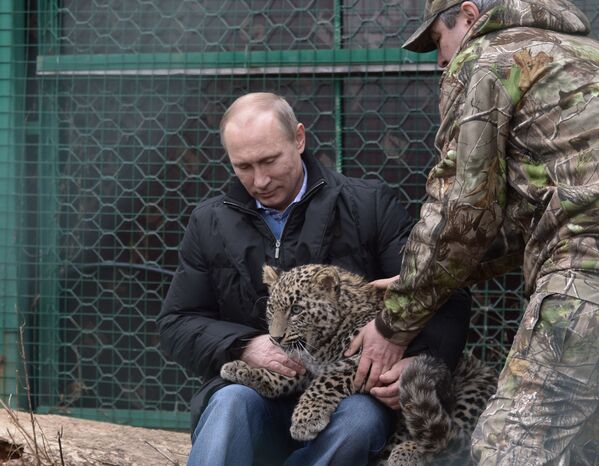 Президент России Владимир Путин во время посещения Центра разведения и реабилитации леопарда в Сочи - Sputnik Абхазия