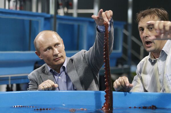 Владимир Путин прибыл во Владивосток для участия в саммите АТЭС - Sputnik Абхазия