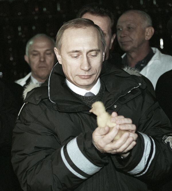 И. О. Президента России Владимир Путин с цыпленком в руках, 2000 год - Sputnik Абхазия