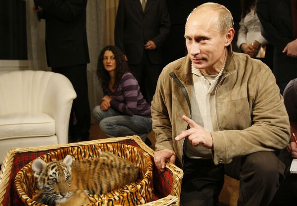 Владимир Путин познакомил журналистов с подаренным ему тигренком - Sputnik Абхазия