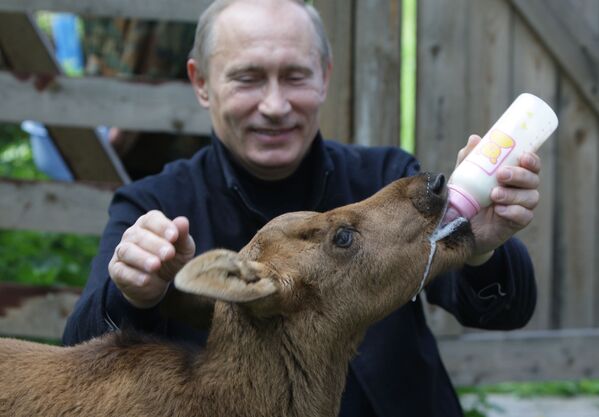 Премьер-министр РФ Владимир Путин во время посещения парка Лосиный остров - Sputnik Абхазия