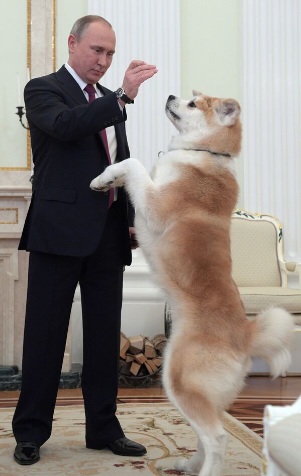 Президент России Владимир Путин с собакой Юмэ перед началом интервью в Кремле - Sputnik Абхазия
