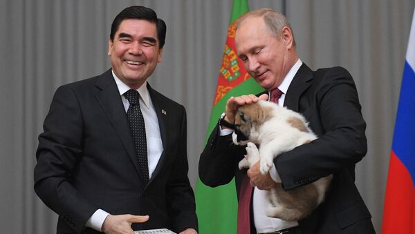 Президент Туркмении Гурбангулы Бердымухамедов подарил щенка алабая президенту РФ Владимиру Путину - Sputnik Абхазия