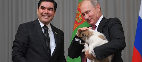 Президент Туркмении Гурбангулы Бердымухамедов подарил щенка алабая президенту РФ Владимиру Путину Президент Туркмении Гурбангулы Бердымухамедов подарил щенка алабая президенту РФ Владимиру Путину - Sputnik Абхазия