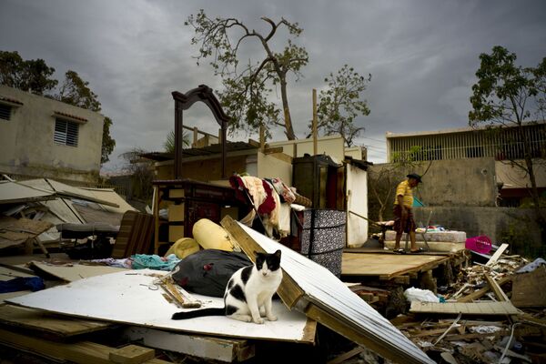 Разрушения после урагана Мария в городе Сан-Хуан, Пуэрто-Рико - Sputnik Абхазия
