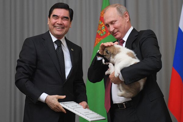 Президент Туркмении Гурбангулы Бердымухамедов подарил щенка алабая президенту РФ Владимиру Путину - Sputnik Абхазия