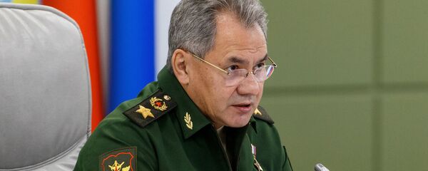Министр обороны РФ Сергей Шойгу, архивное фото - Sputnik Абхазия