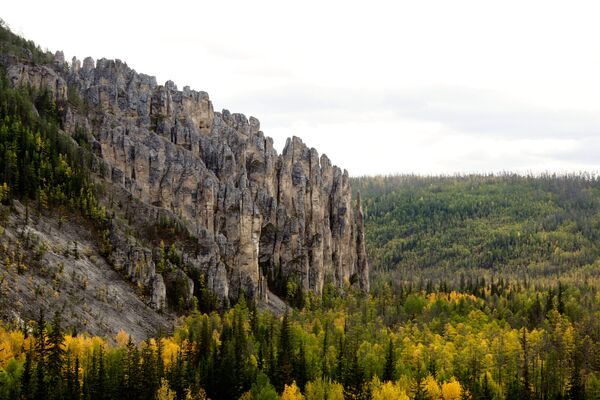 Национальный природный парк Ленские столбы в Якутии - Sputnik Абхазия