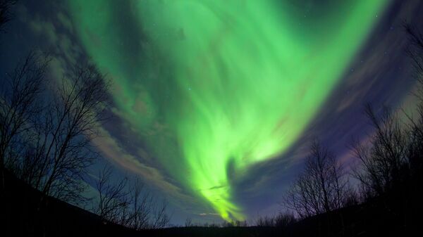 Полярное сияние в окрестностях города Мурманск - Sputnik Абхазия