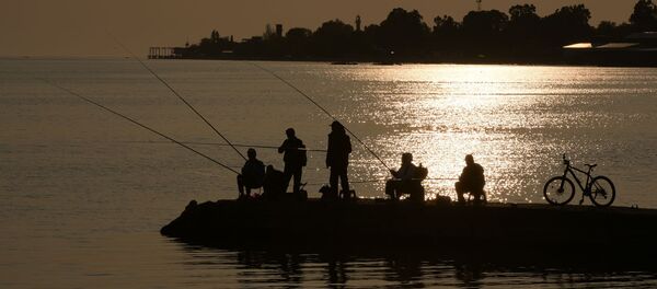 Рыбаки - Sputnik Абхазия