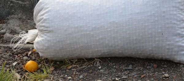 Продажа ореха на рынке - Sputnik Абхазия