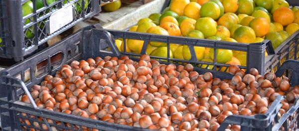 Продажа ореха на рынке Продажа ореха на рынке - Sputnik Аҧсны