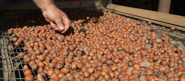 Одна бочка вместо десяти рук: ноу-хау из Кутола - Sputnik Абхазия