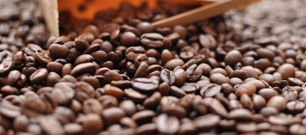 Кофе - Sputnik Абхазия