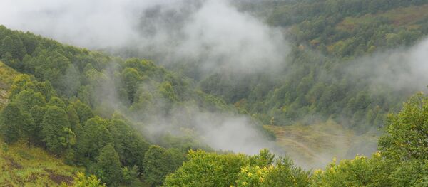 Высокогорное село Псху Высокогорное село Псху - Sputnik Аҧсны