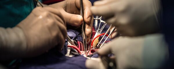 Кардиохирург Лео Бокерия удостоен награды Орден Александра Невского - Sputnik Абхазия