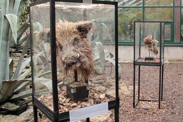 Выставка скульптур диких животных под угрозой исчезновения Последний след - Sputnik Абхазия