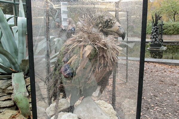 Выставка скульптур диких животных под угрозой исчезновения Последний след - Sputnik Абхазия