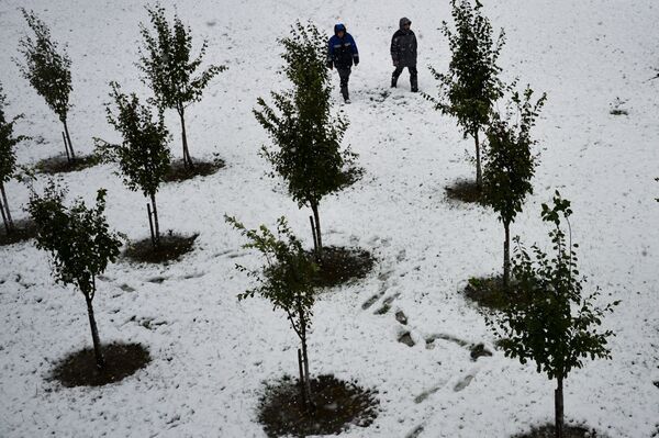 Снег на курорте Роза-Хутор в Красной Поляне - Sputnik Абхазия
