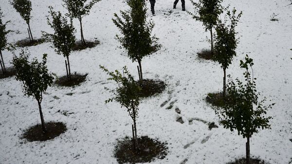 Снег на курорте Роза-Хутор в Красной Поляне - Sputnik Абхазия