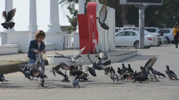 Погода - Sputnik Абхазия