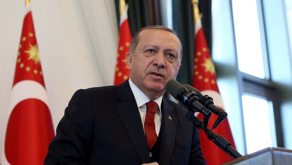 Президент Турции Тайип Эрдоган, фото из архива - Sputnik Аҧсны