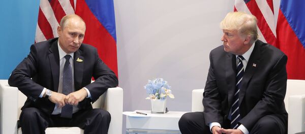 Президент РФ В. Путин принимает участие в саммите Группы двадцати в Гамбурге Президент РФ В. Путин принимает участие в саммите Группы двадцати в Гамбурге - Sputnik Абхазия