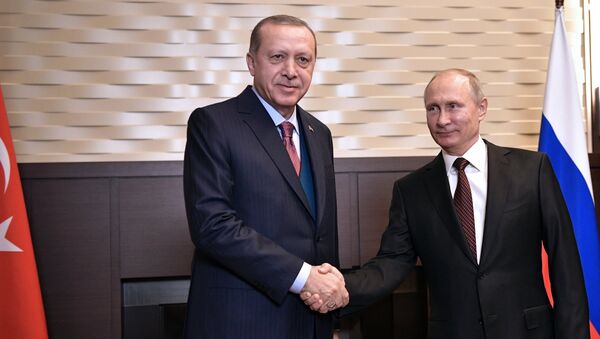 Президент РФ В. Путин встретился с президентом Турции Р. Эрдоганом - Sputnik Аҧсны