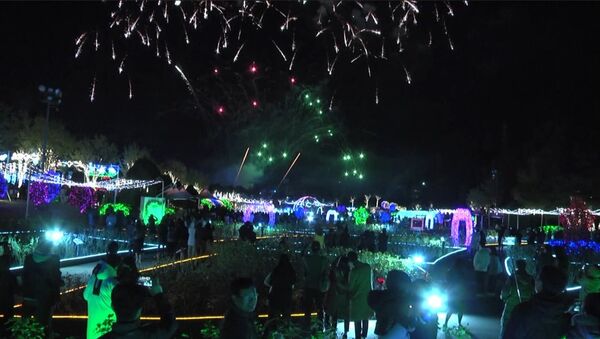 Зимний фестиваль света стартовал в Южной Корее - Sputnik Абхазия