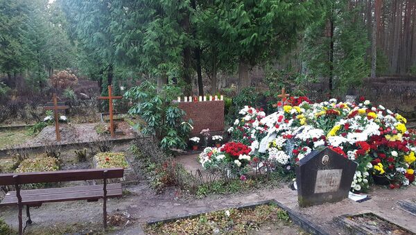 Могила Михаила Задорнова на кладбище в Яундубулты - Sputnik Абхазия