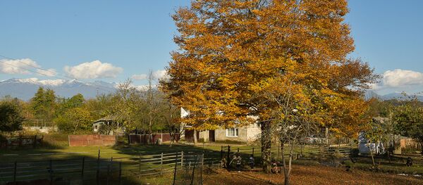 Прогноз - Sputnik Аҧсны