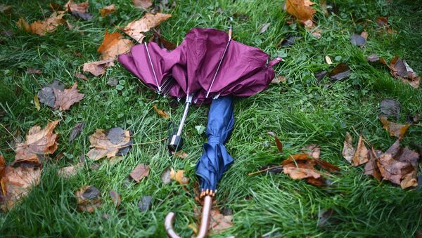 Зонтики на траве во время дождя в Москве - Sputnik Абхазия
