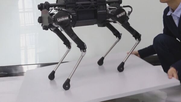 Китайские разработчики создали робособаку Laikago - Sputnik Абхазия