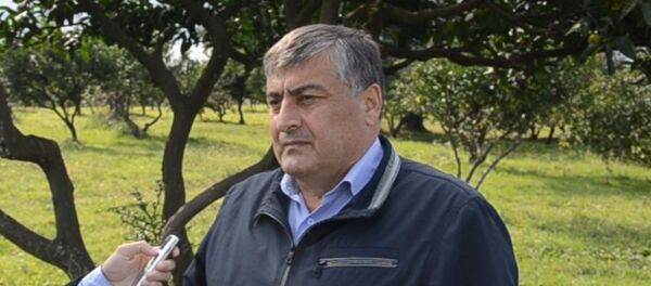 Рафик Григорян - Sputnik Абхазия