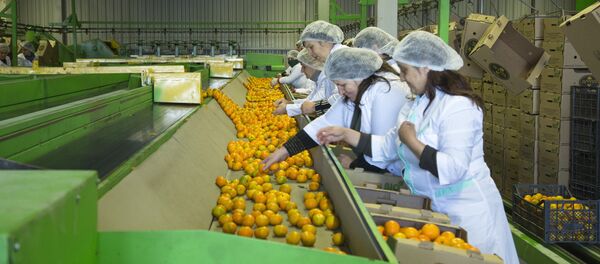 Посещение распределительного центра Абхазпродэкспорт Посещение распределительного центра Абхазпродэкспорт - Sputnik Абхазия