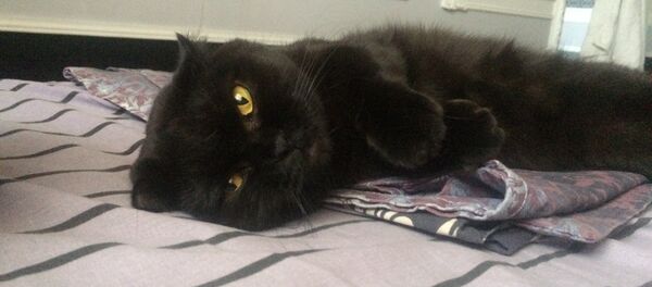 Бони - Sputnik Абхазия