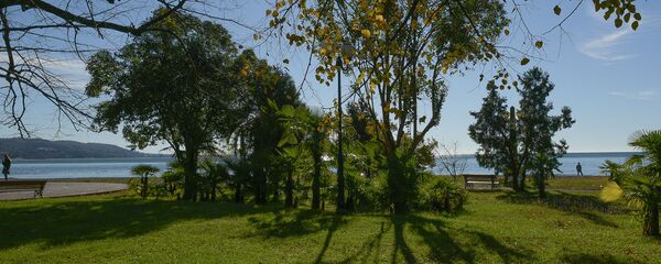 Прогноз Прогноз - Sputnik Абхазия