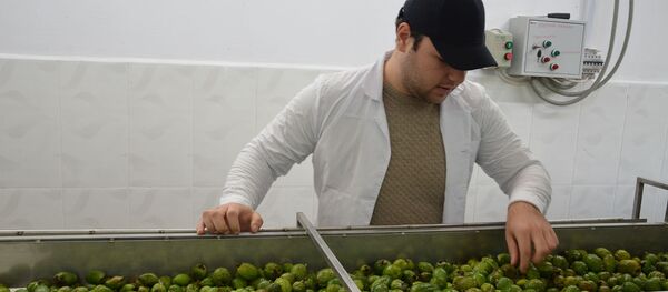 В главном производственном цехе В главном производственном цехе - Sputnik Абхазия