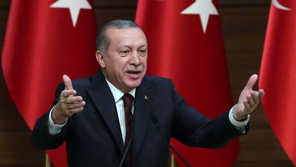 Президент Турции Р.Т.Эрдоган во время выступления в Президентском дворце. Анкара, Турция - Sputnik Абхазия