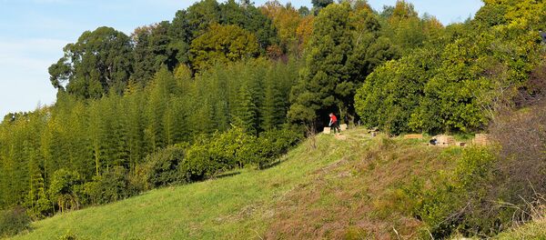 Гулрыпш Гулрыпш - Sputnik Абхазия