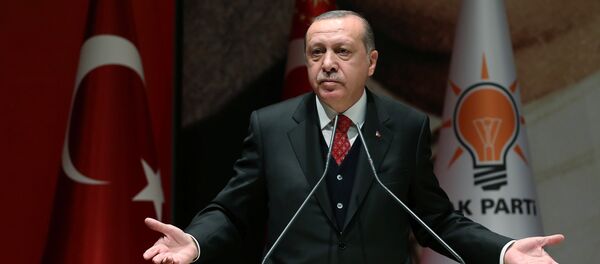 Президент Турции Реджеп Тайип Эрдоган, фото из архива Президент Турции Реджеп Тайип Эрдоган, фото из архива - Sputnik Абхазия