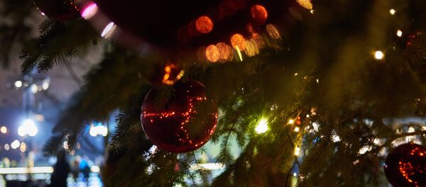 Новогодний базар в Новой Голландии Новогодний базар в Новой Голландии - Sputnik Абхазия