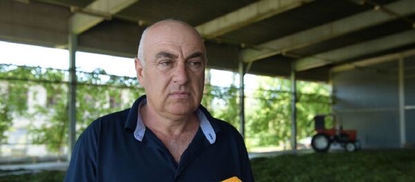 Директор кутольской чайной фабрики Роман Чкадуа Директор кутольской чайной фабрики Роман Чкадуа - Sputnik Аҧсны