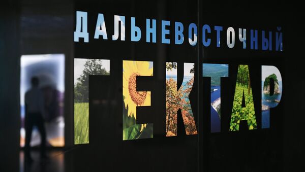 Восточный Экономический форум. День первый - Sputnik Абхазия
