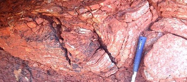 Породы формации Породы формации - Sputnik Абхазия