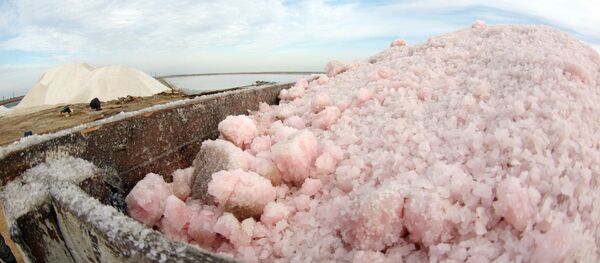 Добыча соли в Крыму - Sputnik Абхазия