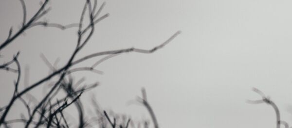 Дети Дети - Sputnik Абхазия